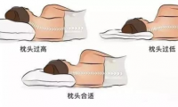 萬(wàn)眾矚目！DOLOMIA深睡秘密大公開！