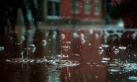 千年舟石墨烯黑金板無懼梅雨季節，讓家依然純凈清新