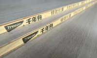 千年舟全新「防偽指南」來襲，教你快速辨真假