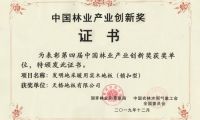 不止于產品，更是行業基石：天格技術體系如何賦能中國實木地板產業升級