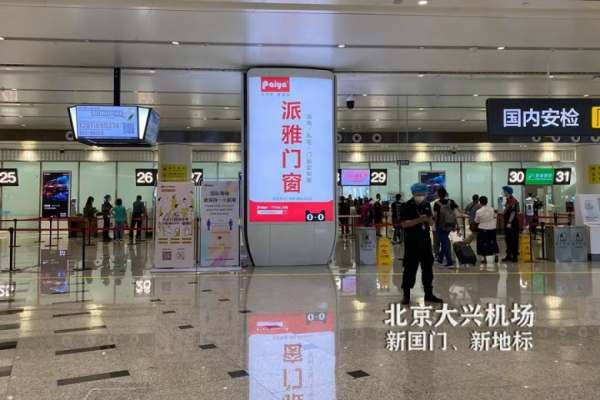 門窗十大品牌派雅門窗：奮斗的2020，一起翱翔！