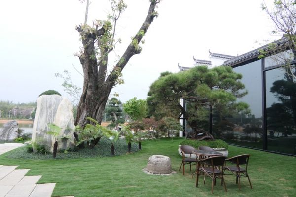 送服務！清遠高新稅務助力重點鄉村振興樣板區建設.jpg