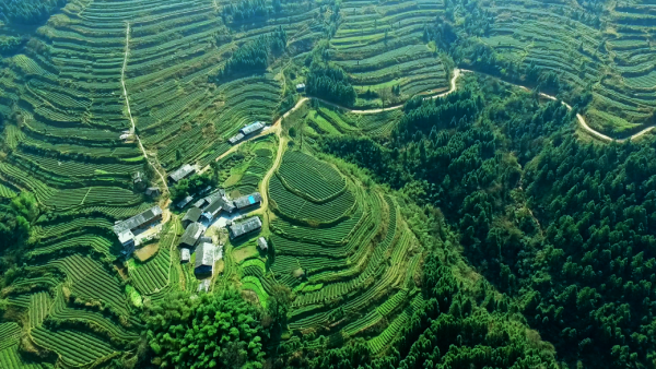 鄉村振興圖.png