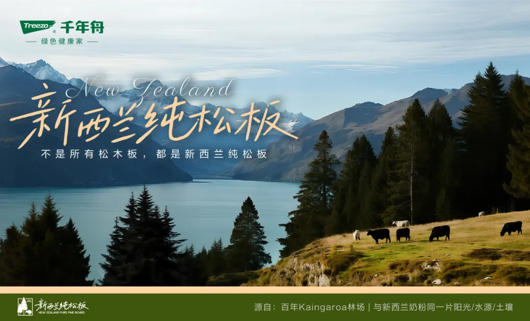 從新西蘭林海到家居日常，用硬實(shí)力撐起生活的松弛感