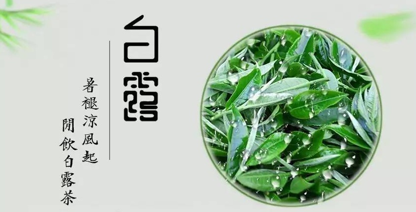 金秋好物大賞：白露為霜的季節，怎么能少得了碧然德濾水壺