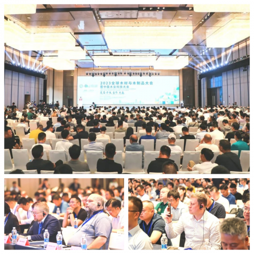 2023全球木材與木制品大會|千年舟榮獲科技雙殊榮，引領行業(yè)綠色低碳轉型