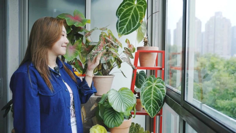 范湉湉的&ldquo;花花世界&rdquo;，藝術(shù)巖板「繁花」與冠珠韶華「南山蘆花」搭配亮了