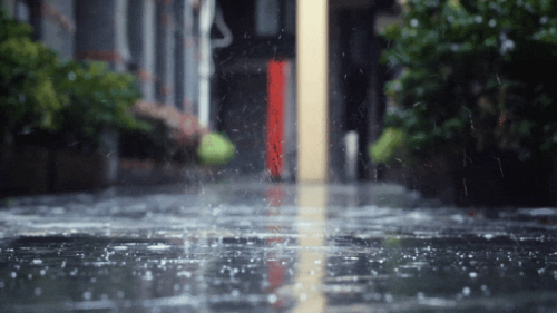 舟乘智木&middot;不染潮時(shí)丨誰(shuí)說(shuō)躲不開(kāi)梅雨煩惱，有他們，無(wú)懼潮濕！
