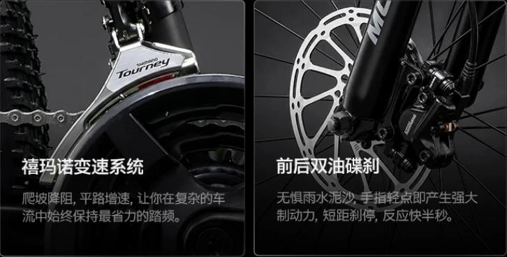 2026年十大自行車大人騎行專用品牌推薦，誰(shuí)才是熱銷榜第一？